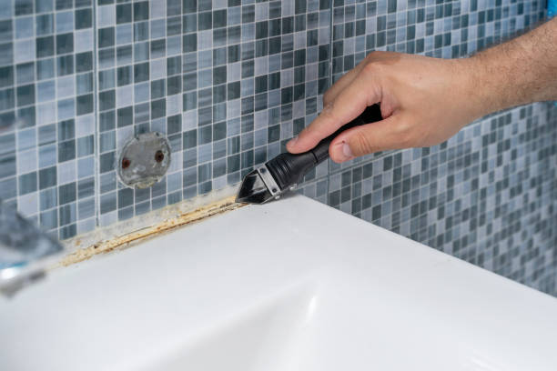 Best Home Mold Removal  in Jennings Lodge, OR