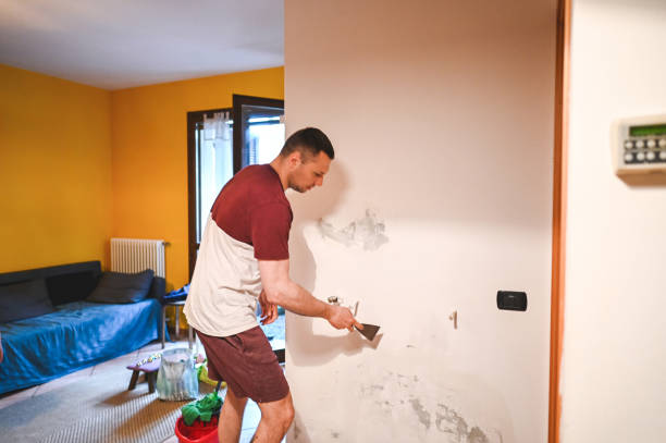 Best Attic Mold Removal  in Jennings Lodge, OR